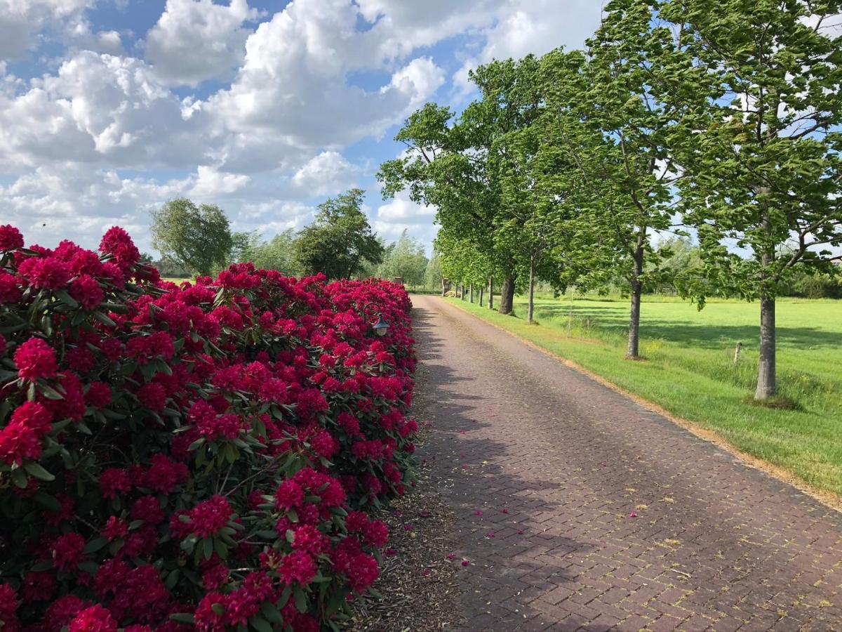 HallLandgoed De Blaauwe Blaer公寓 外观 照片